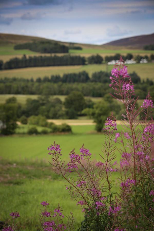 Hotel Clova pod, Kilry eco pods Blairgowrie and Rattray Exteriér fotografie
